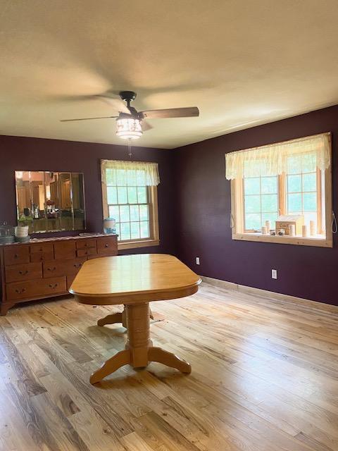 1863 Foxtail Ln SW, Pine River Twp, MN 56435 - photo 4
