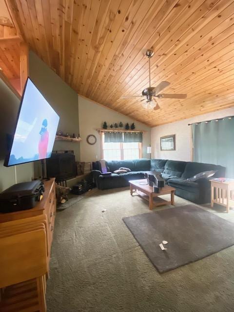 1863 Foxtail Ln SW, Pine River Twp, MN 56435 - photo 7