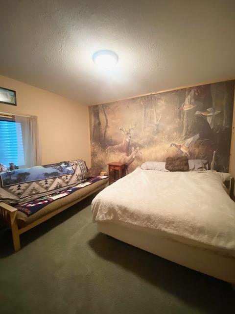 1863 Foxtail Ln SW, Pine River Twp, MN 56435 - photo 20