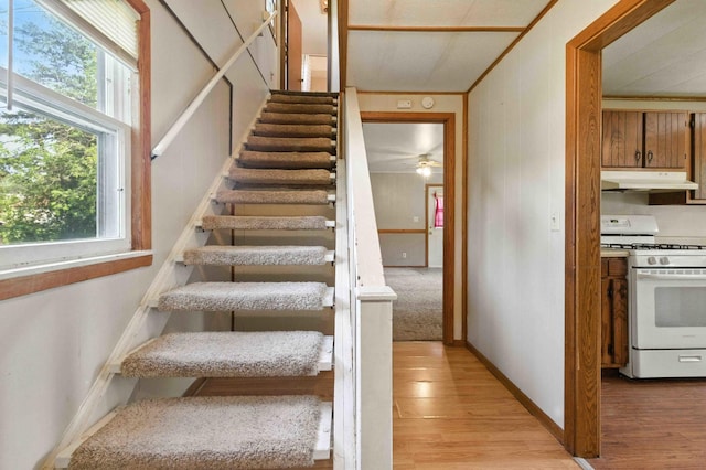 1819 Pine St, Brainerd, MN 56401 - photo 18