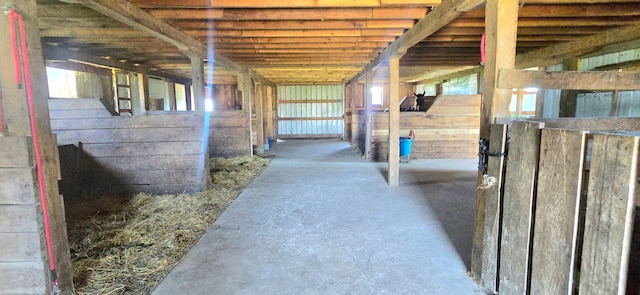 13130 County 21, Canton Twp, MN 55922 - photo 34