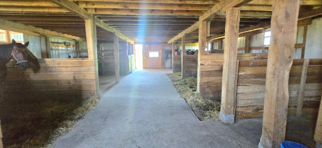 13130 County 21, Canton Twp, MN 55922 - photo 38