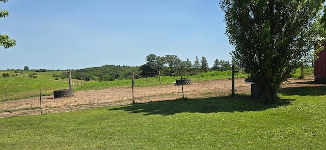 13130 County 21, Canton Twp, MN 55922 - photo 44