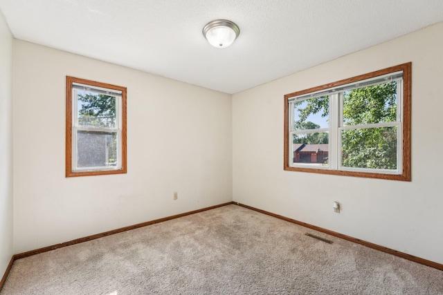 441 105th Ave NW, Coon Rapids, MN 55448 - photo 20
