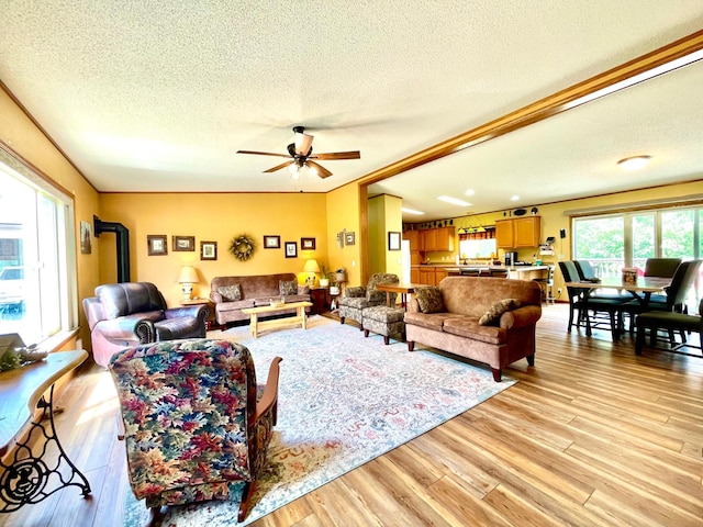 23945 Aspen Rd, Minerva Twp, MN 56676 - photo 4
