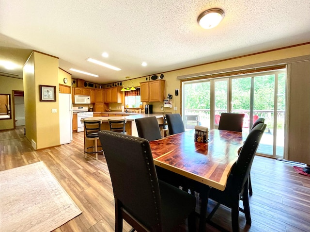 23945 Aspen Rd, Minerva Twp, MN 56676 - photo 17