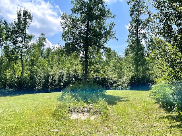 23945 Aspen Rd, Minerva Twp, MN 56676 - photo 47