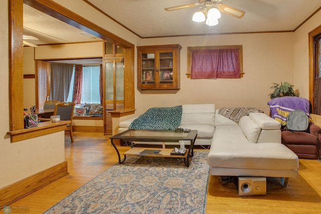 411 12th St N, Fargo, ND 58102 - photo 5