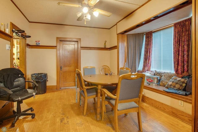 411 12th St N, Fargo, ND 58102 - photo 8