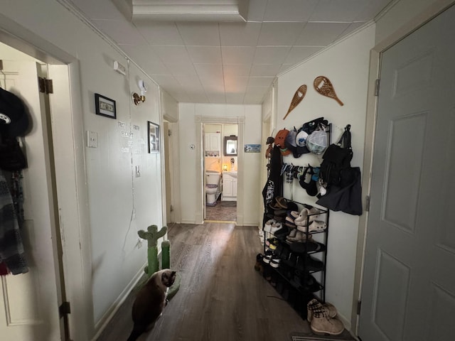 306 9th Ave S, Saint Cloud, MN 56301 - photo 21