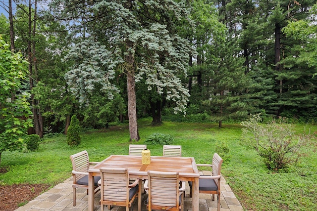 91 Forest Dale Rd, Minneapolis, MN 55410 - photo 38