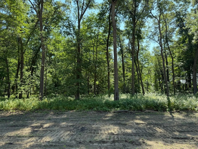 TBD Maplewood Ridge Rd, East Gull Lake, MN 56401 - photo 7