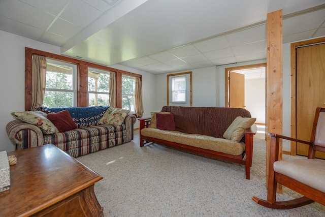 13847 Pearl Lake Ln, Detroit Lakes, MN 56501 - photo 31