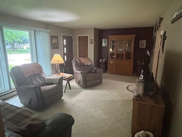 611 Elm Ave, Westbrook, MN 56183 - photo 7