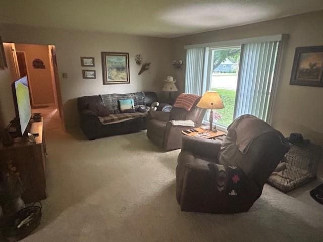 611 Elm Ave, Westbrook, MN 56183 - photo 8