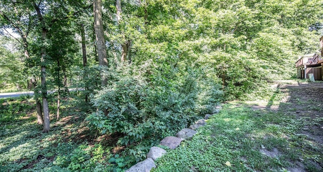 101 River Woods Ln, Burnsville, MN 55337 - photo 33