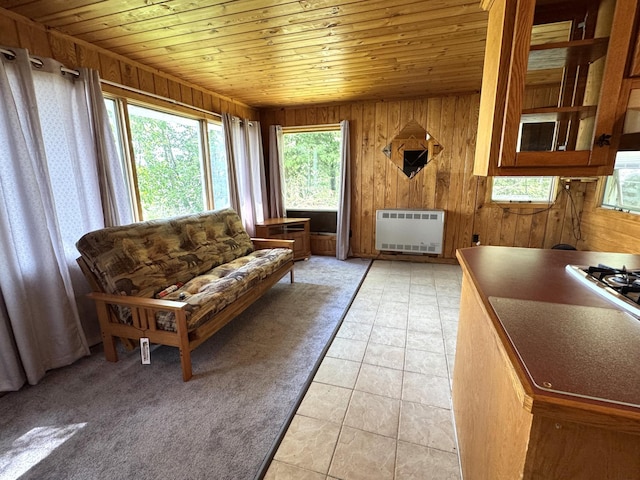 1277 Mingus Rd, Cromwell, MN 55726 - photo 11