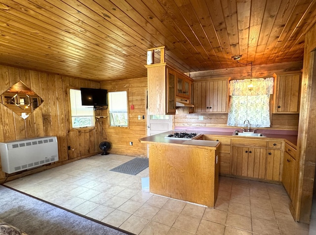 1277 Mingus Rd, Cromwell, MN 55726 - photo 15