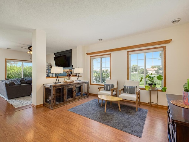 1806 111th Ave NE, Blaine, MN 55449 - photo 10