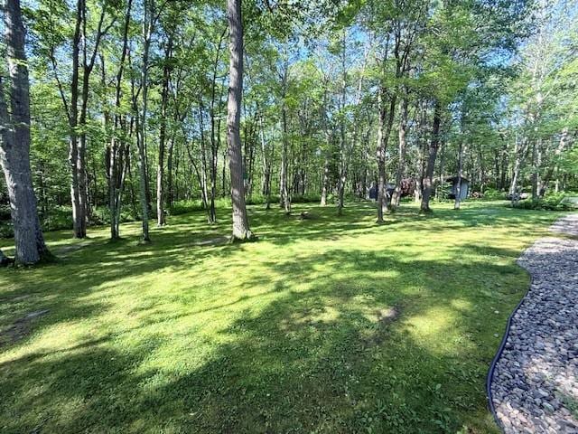 10810 Steamboat Loop NW, Leech Lake Twp, MN 56484 - photo 7