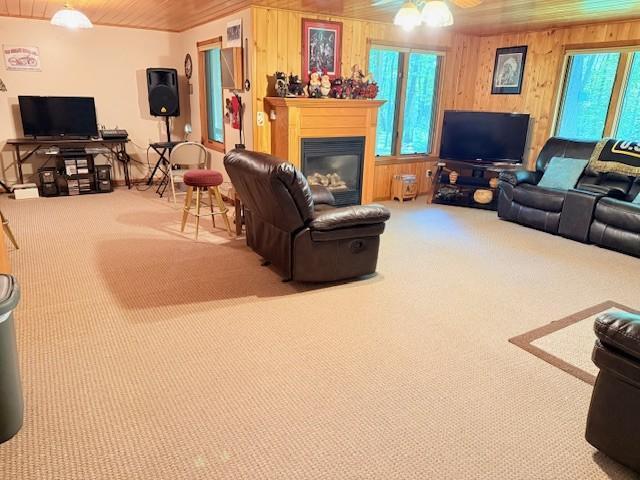 10810 Steamboat Loop NW, Leech Lake Twp, MN 56484 - photo 18