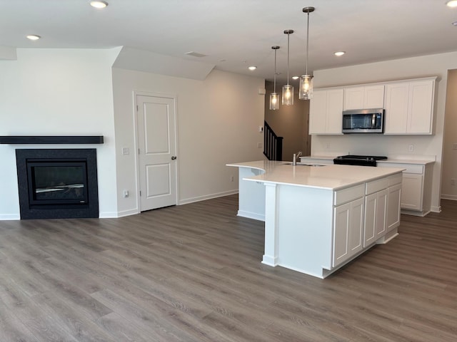 1735 Hauer Trl, Shakopee, MN 55379 - photo 4