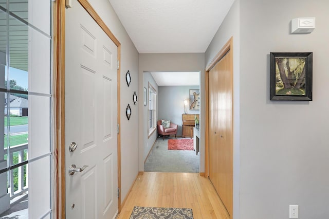 14030 Cobbler Ave, Rosemount, MN 55068 - photo 6