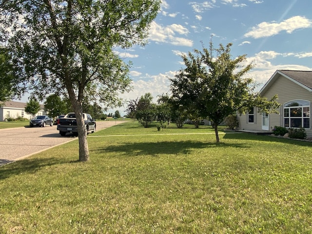 1001 Sunrise Cir, Park Rapids, MN 56470 - photo 3
