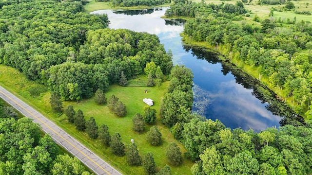 19744 County Road 10, Deerwood Twp, MN 56444 - photo 1
