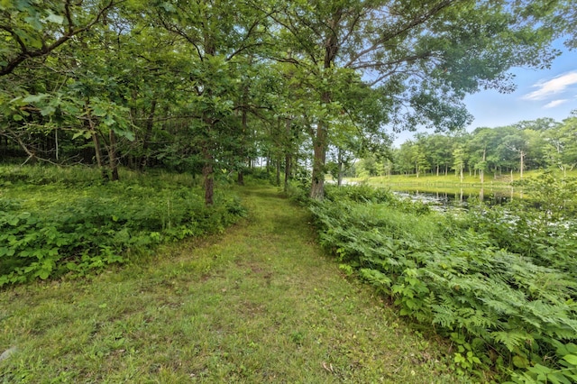 19744 County Road 10, Deerwood Twp, MN 56444 - photo 3