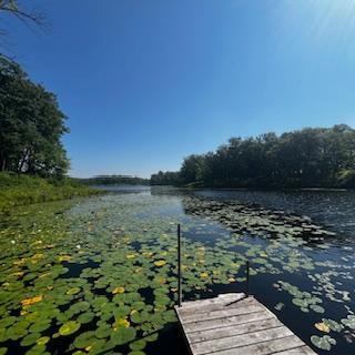 19744 County Road 10, Deerwood Twp, MN 56444 - photo 40
