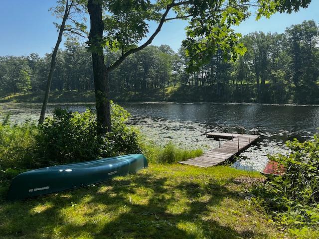 19744 County Road 10, Deerwood Twp, MN 56444 - photo 4