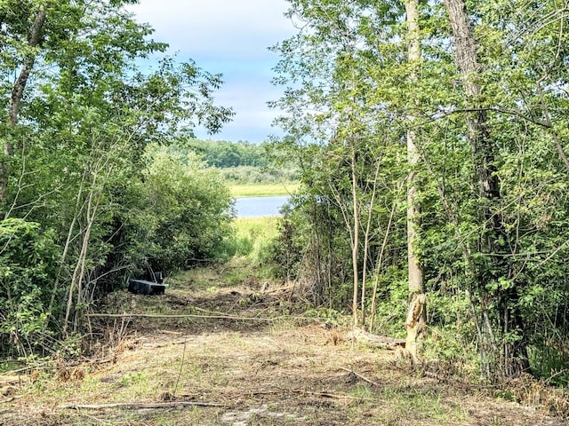 5625 Rice Lake Rd NE, Bemidji, MN 56630 - photo 24