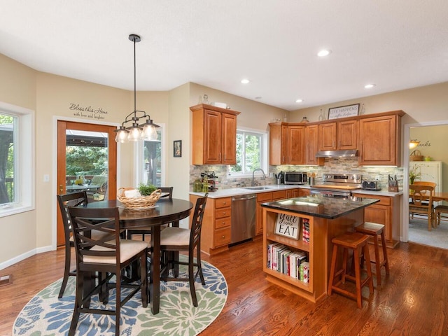 16724 Jacana Ct, Lakeville, MN 55044 - photo 10