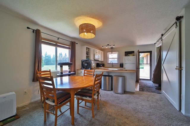 2286 28th Ave SW Unit 301, Pine River, MN 56474 - photo 8