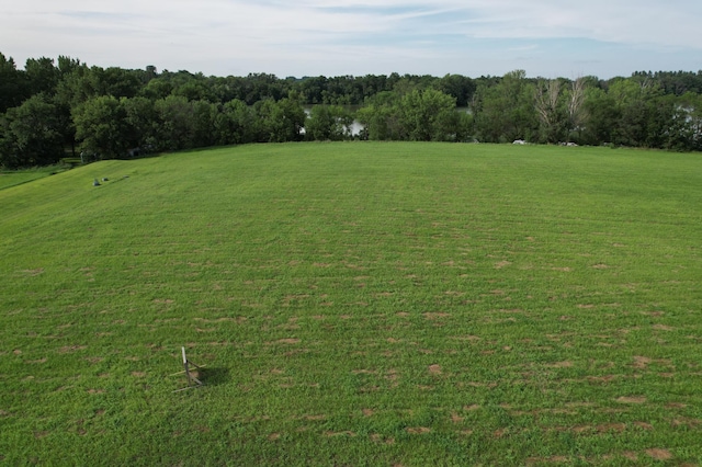 TBD Lake Shore Dr, Manyaska Twp, MN 56171 - photo 5