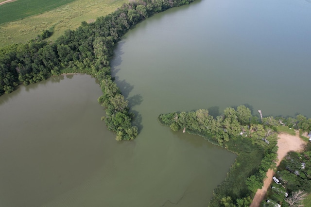 TBD Lake Shore Dr, Manyaska Twp, MN 56171 - photo 7