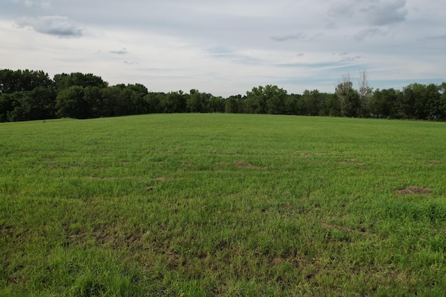 TBD Lake Shore Dr, Manyaska Twp, MN 56171 - photo 8