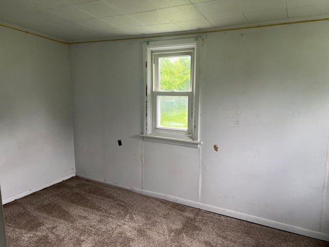 406 21st St NW, Faribault, MN 55021 - photo 12