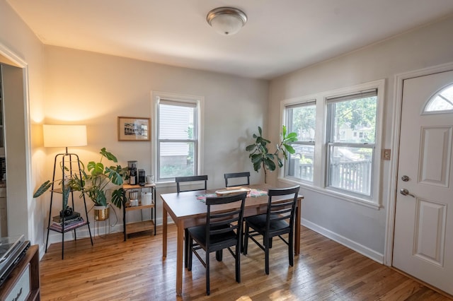1652 Fernwood St, Saint Paul, MN 55108 - photo 5
