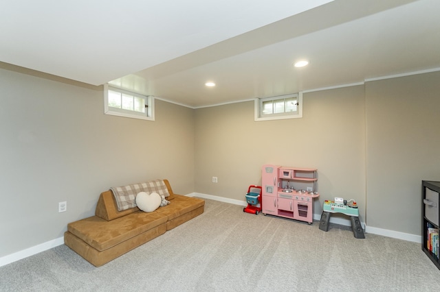 1207 7th Ave NW, Rochester, MN 55901 - photo 26