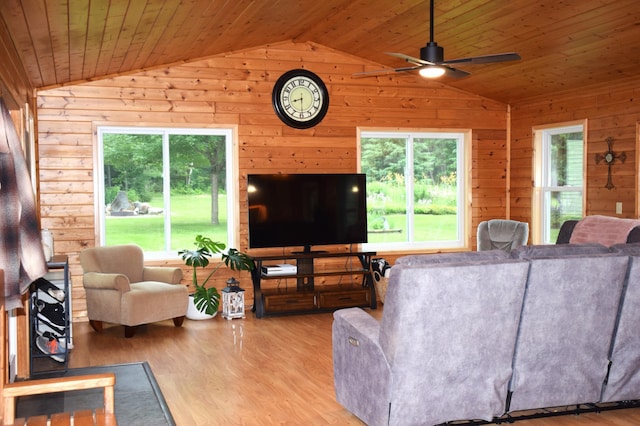 46441 255th Ave, Helga Twp, MN 56461 - photo 4