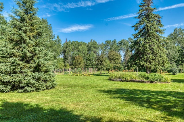 46441 255th Ave, Helga Twp, MN 56461 - photo 64