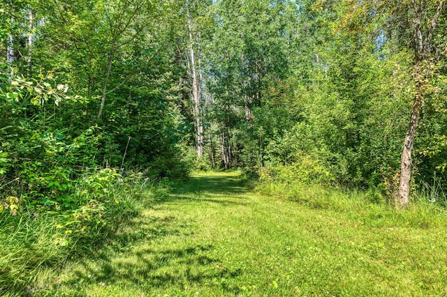 46441 255th Ave, Helga Twp, MN 56461 - photo 72