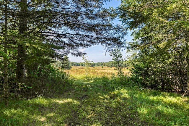 46441 255th Ave, Helga Twp, MN 56461 - photo 74