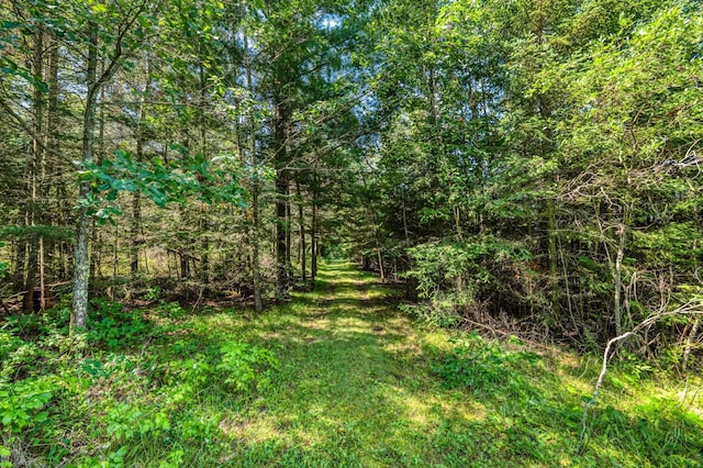 46441 255th Ave, Helga Twp, MN 56461 - photo 76