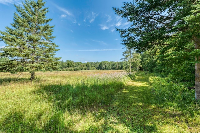 46441 255th Ave, Helga Twp, MN 56461 - photo 81