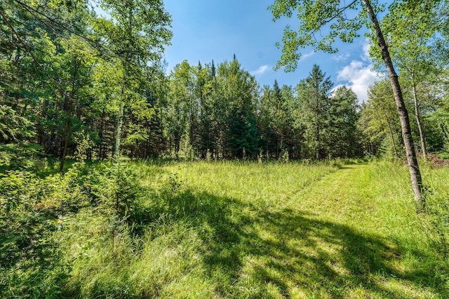 46441 255th Ave, Helga Twp, MN 56461 - photo 82