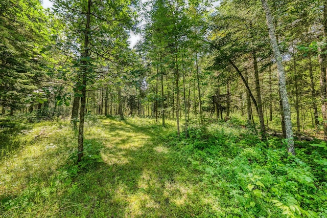 46441 255th Ave, Helga Twp, MN 56461 - photo 83