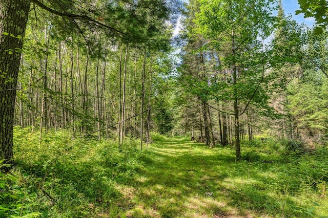 46441 255th Ave, Helga Twp, MN 56461 - photo 85